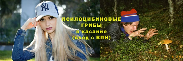 гидропоника Вяземский